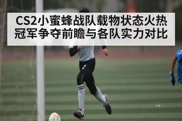 CS2小蜜蜂战队载物状态火热 冠军争夺前瞻与各队实力对比